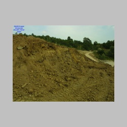 2007_08_28_16_36_42_479_7986_0017.jpg