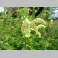 2008_09_06_14_22_52.jpg