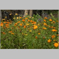 2008_09_06_14_25_28.jpg