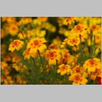 2008_09_06_15_15_36.jpg