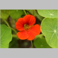 2008_09_06_15_31_46.jpg