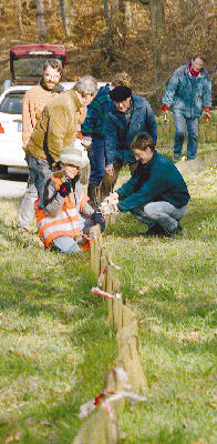 Fr Krten, Molche und Frsche gingen am Samstagvormittag sechs Freiwillige in die Knie. Vor allem Mitglieder des Naturschutzbund Winnenden und vom BUND-Ortsverein Berglen schafften wie hier bei Hlinswart: Sie brachten an drei Wanderrouten engmaschige, etwa 20 Zentimeter hohe Zunchen an, an denen sich die zum Laichgewsser drngenden Amphibien fangen. Abends, gegen 20 Uhr, holen wiederum freiwillige Helfer die liebestollen Krten ab und tragen sie ber die Strae. Daher gilt in Zeiten der Krtenwanderung Tempo 40